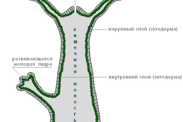 Где купить наркоту